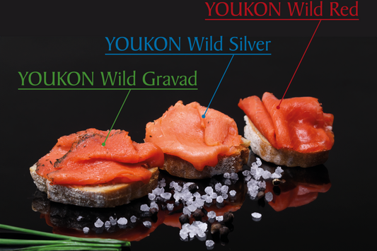 Youkon Wildlachs Probier-Set