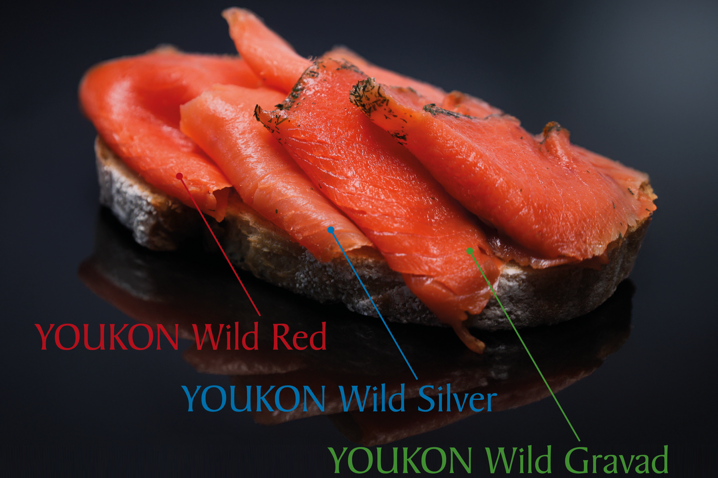 Youkon Wildlachs Probier-Set