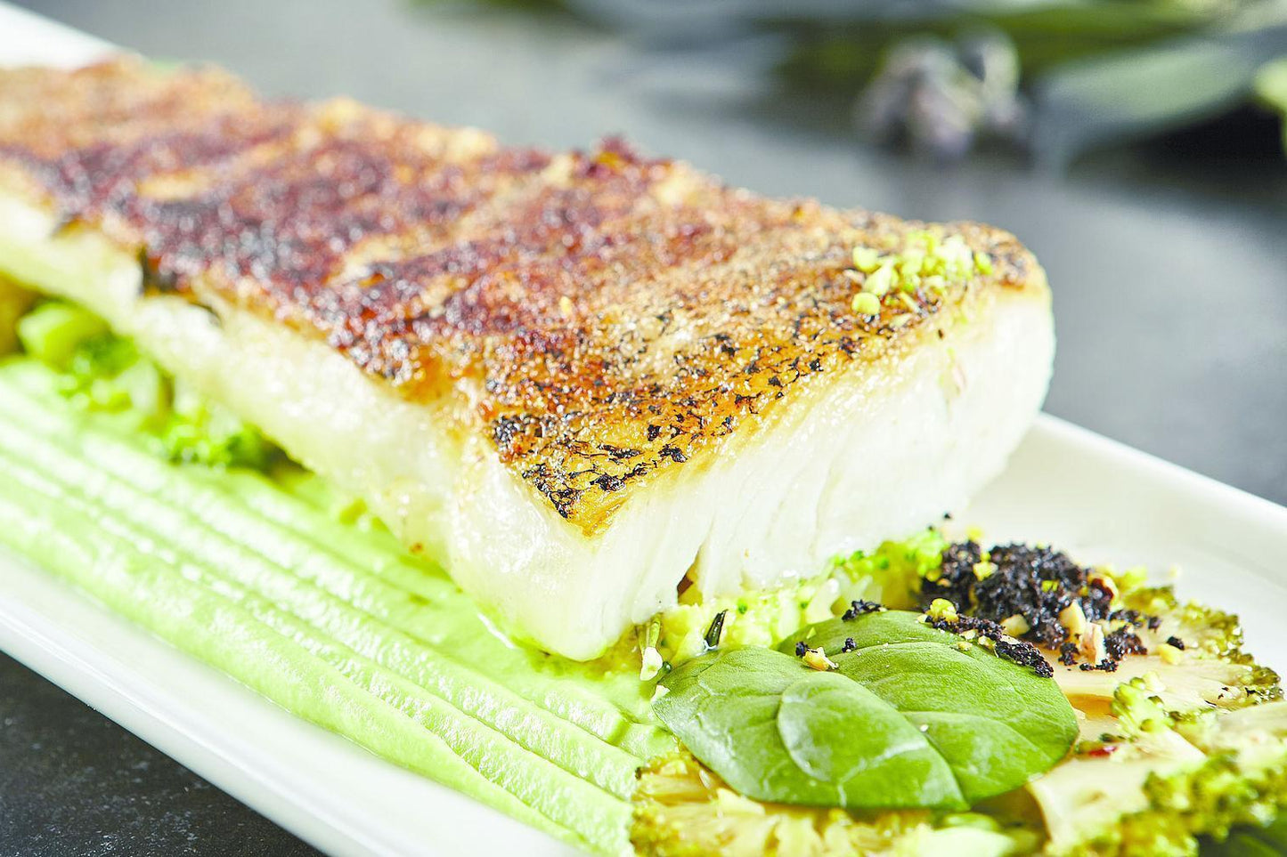 Youkon Alaskan Halibut Filet - Premium Troll Quality, with skin, without bones